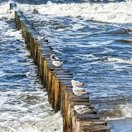 Porta Mare Dziwnówek