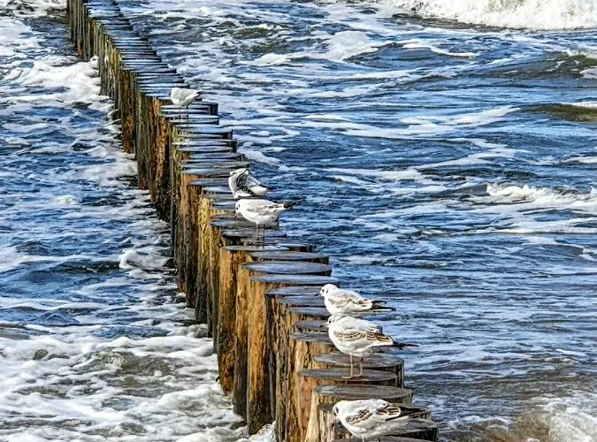 Porta Mare Dziwnówek